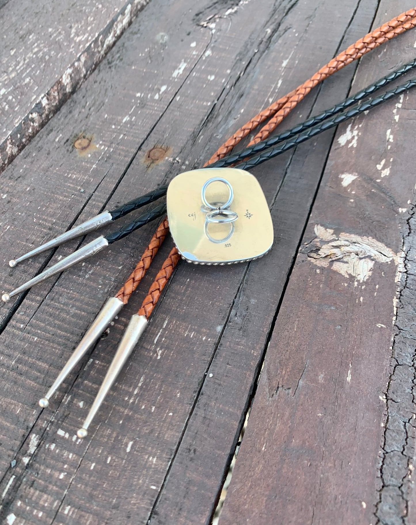 Owyhee Picture Jasper Bolo Tie