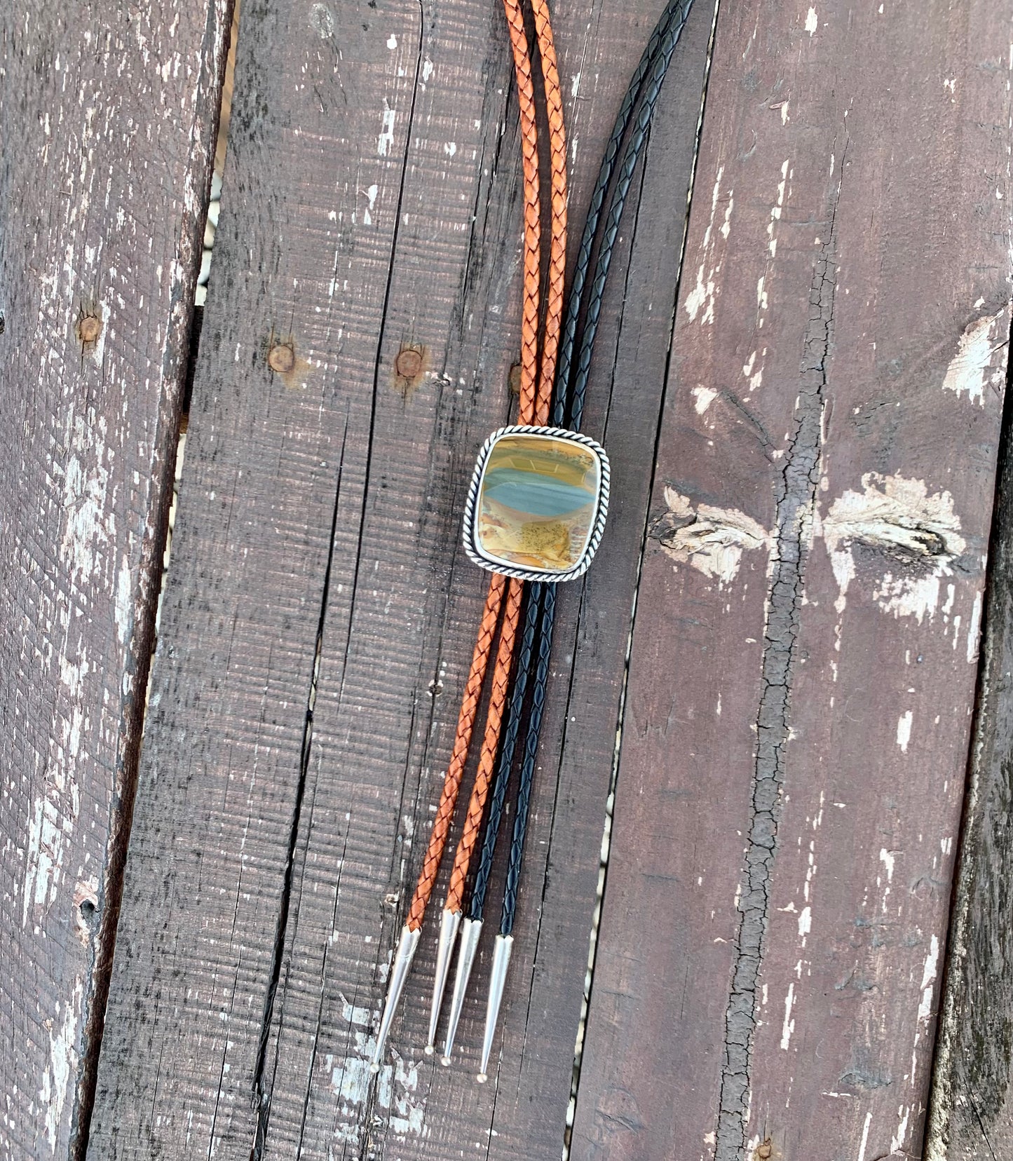 Owyhee Picture Jasper Bolo Tie