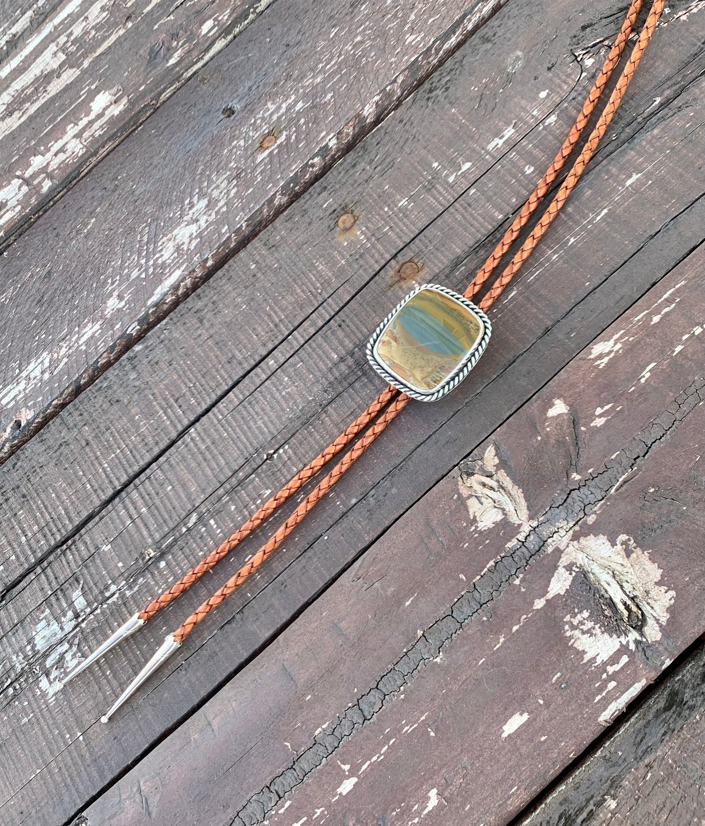 Owyhee Picture Jasper Bolo Tie