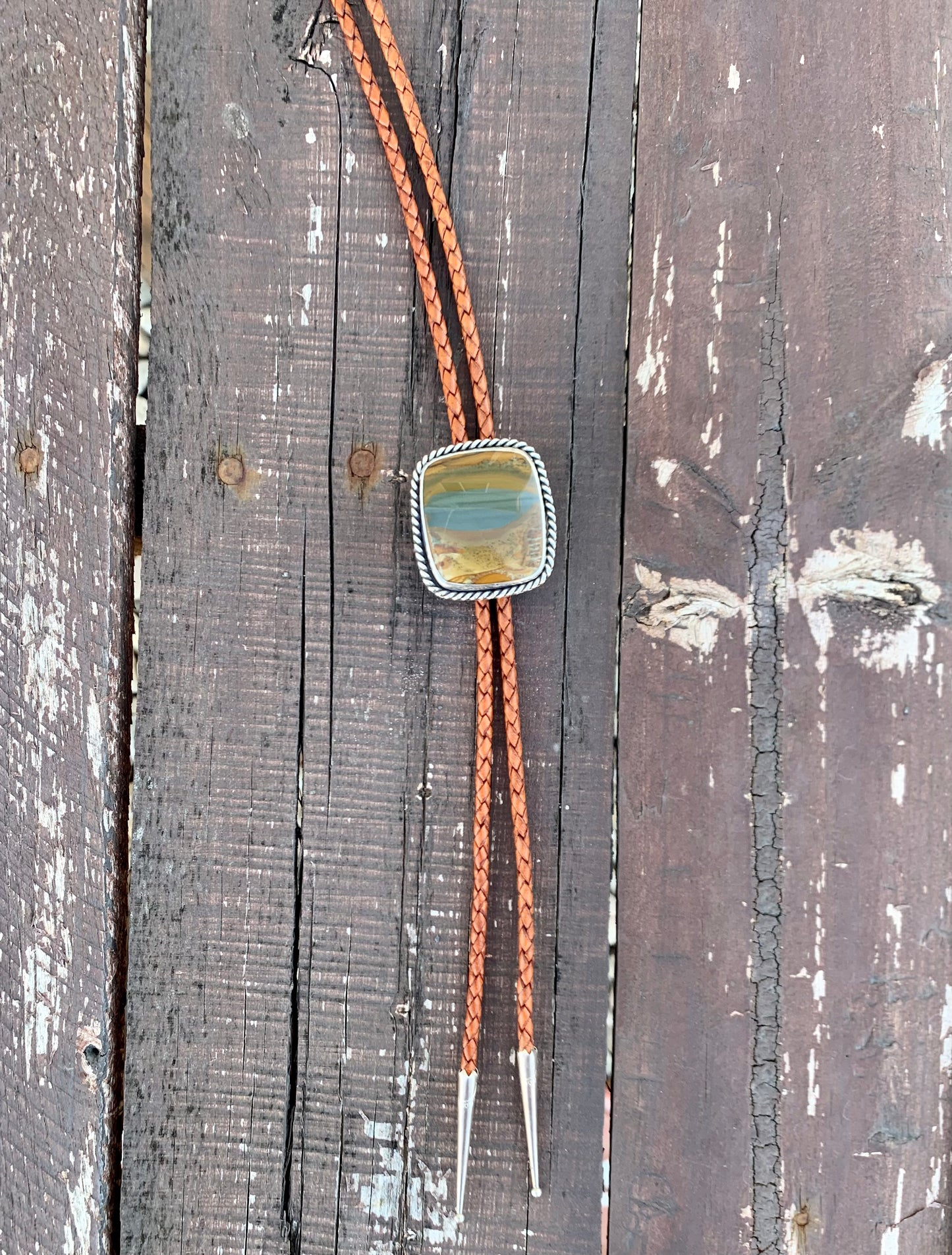 Owyhee Picture Jasper Bolo Tie