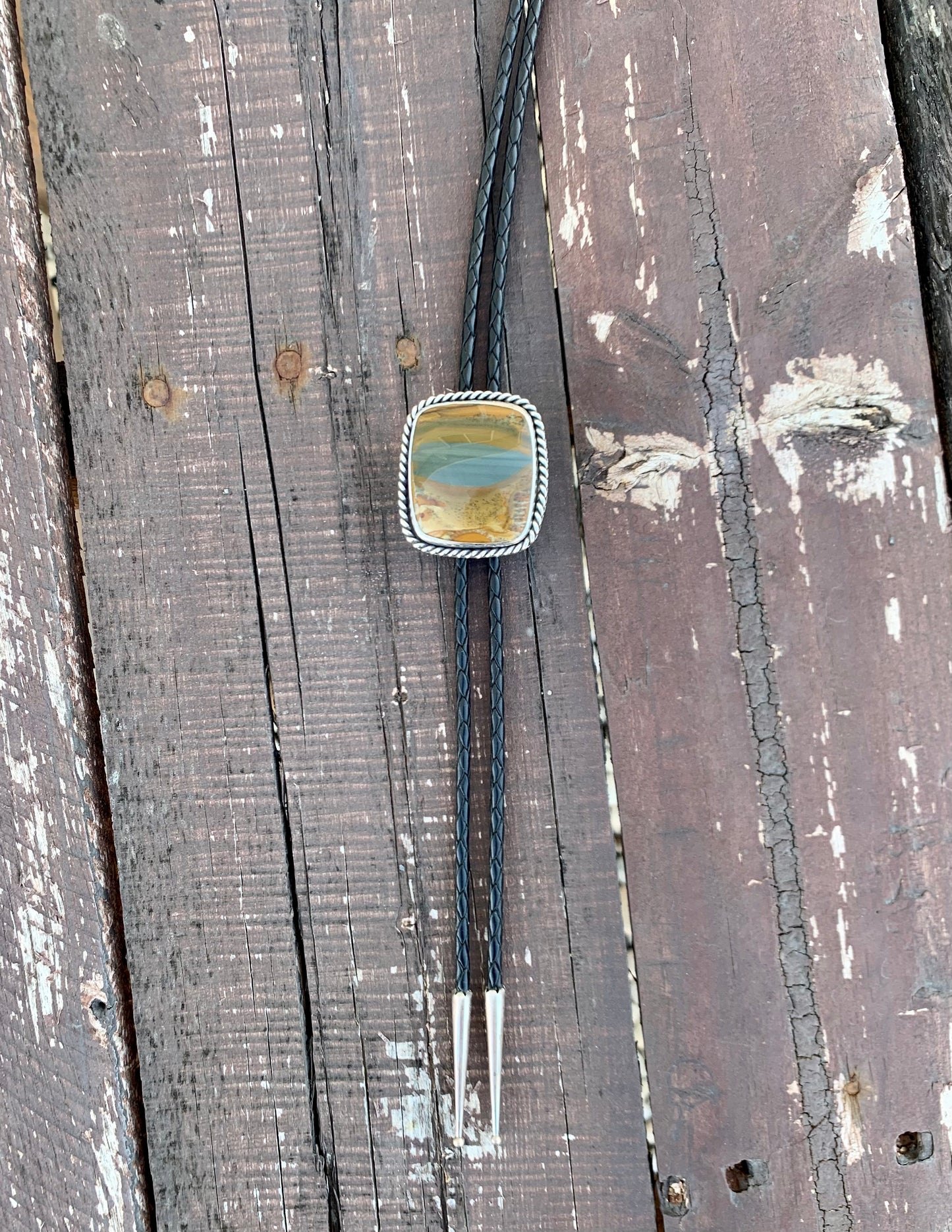 Owyhee Picture Jasper Bolo Tie